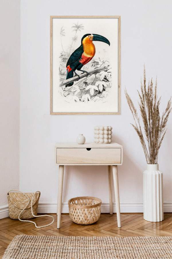 Rahmenbild Toucan im Wohnzimmer