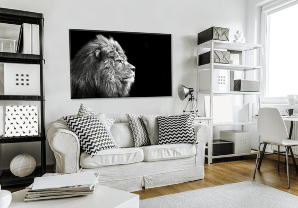 Glasbild Lion im Wohnzimmer